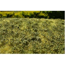 Grass Mat - Low Bushes (late summer) 29x19cm