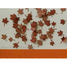 Maple dry leaves (red colour) 1/35