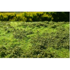 Grass Mat - Low Bushes (spring) 29x19cm